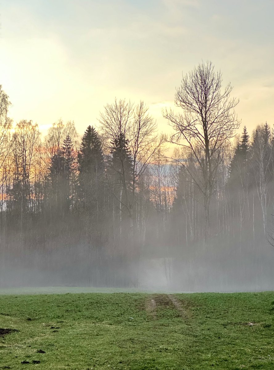 iptvals's tweet image. Tas laikam bija ziemas rēgs, kas šovakar, putnu dziesmu pavadīts, vāliem nāca no meža un nesteidzīgi vēlās uz ziemeļu pusi
