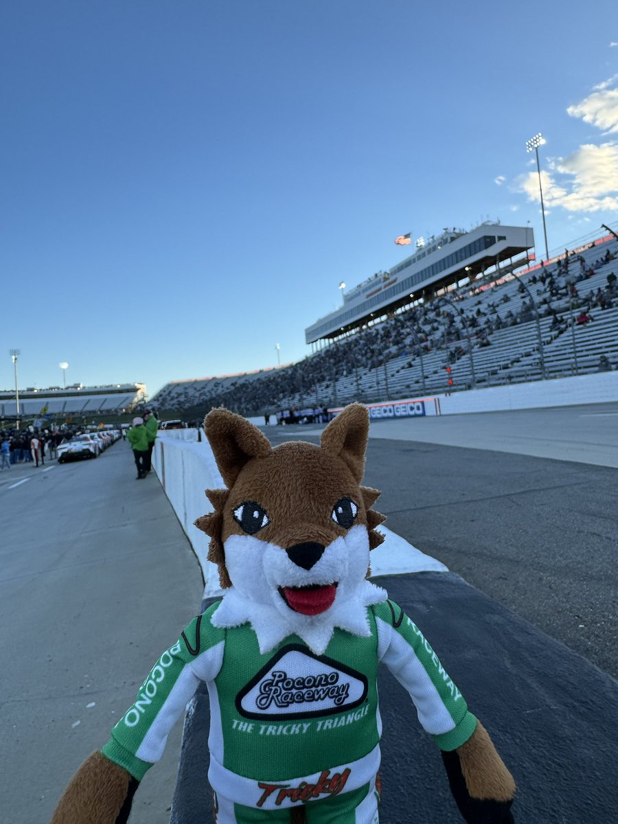Tricky is here!🦊 Tricky is excited for some @MartinsvilleSwy action this weekend! #NASCAR