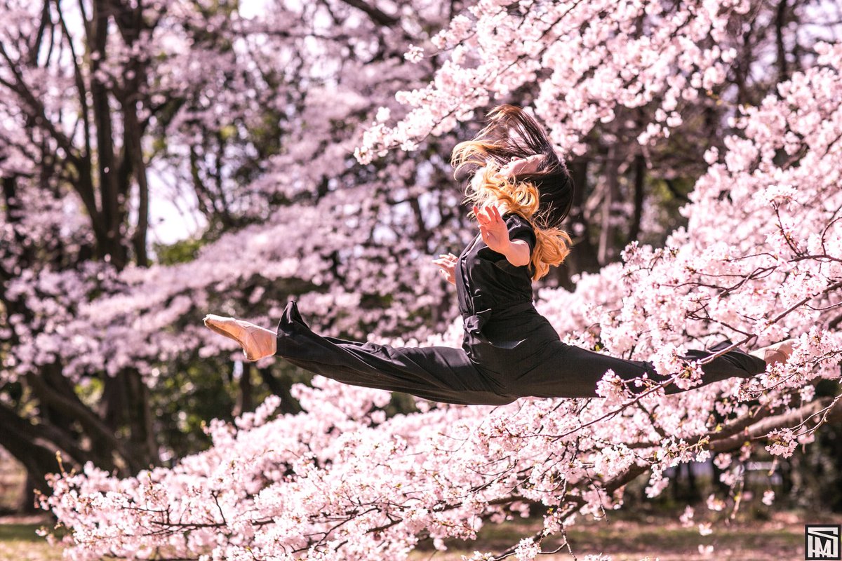 軸がある人は美しい。

#dancephotography #dancephotographer
#hamashow #桜 #sakura #cherryblossom