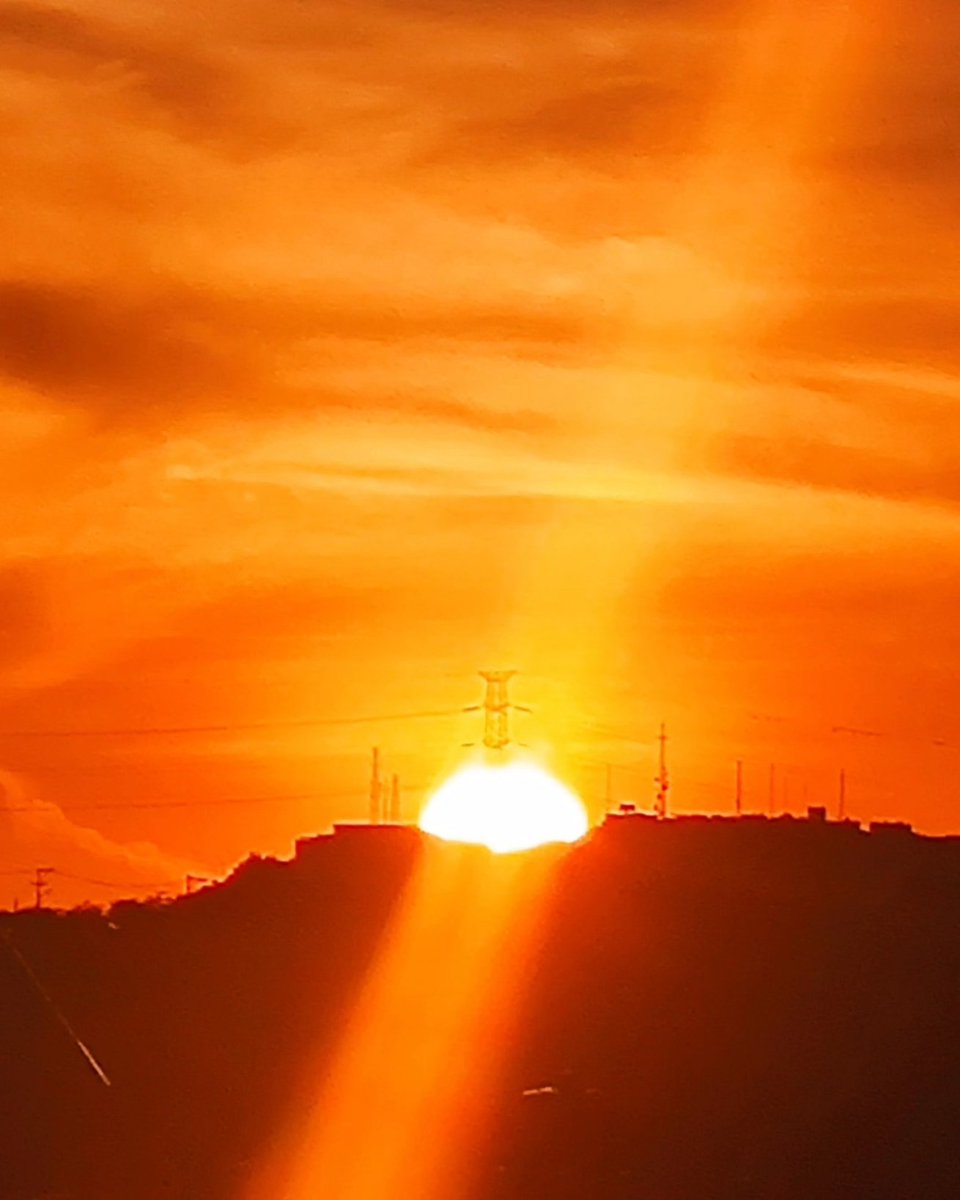 Tardeando en Bogotá #abril #Abril2024 #NaturePhotography #naturelovers #nature #NatureWonders #natural