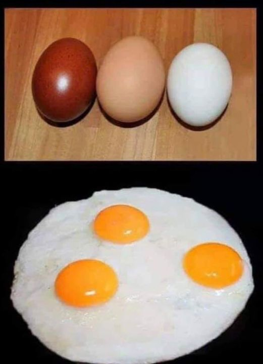 Racism explained.