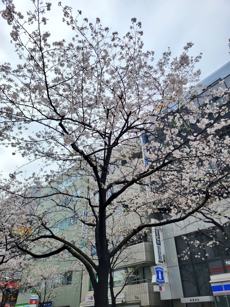 おはようございます！

昨日は楽しかったなぁ☺️
嬉しいお知らせと、なんといってもライブ！最高でぇ～す！

これから働いてきます！