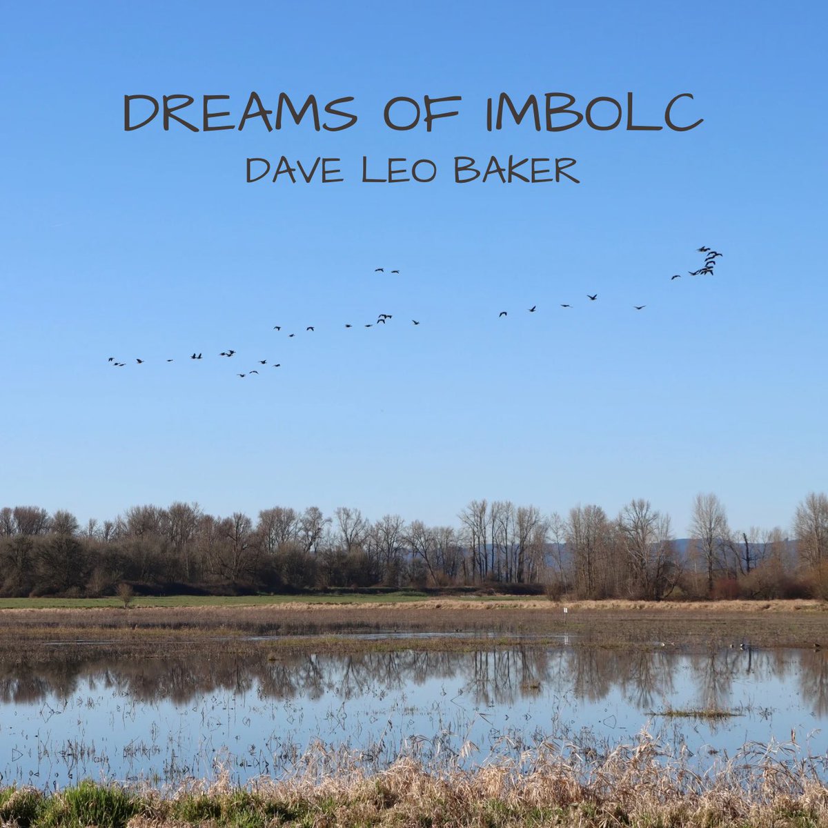 “Dreams Of Imbolc” coming soon to all streaming platforms! Celtic vibes with nightingale and dove songs! Watch for it wherever you get your music!