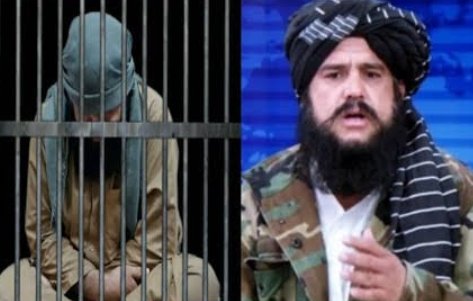 هیڅوک وضاحت نه راکوي چی اخر څه کیسه وه چی  جنرال مبین صاحب دومره وخت بندي و،  قاتل و، زانی و، غل و، لوطی و؟
دا خو عجیبه دکتاتوري شوه کس راونیسه یو میاشت یې ښه وډبوه، سپک یې کړه او اخر بیدون د کوم جرم او وضاحته خوشې کړه.