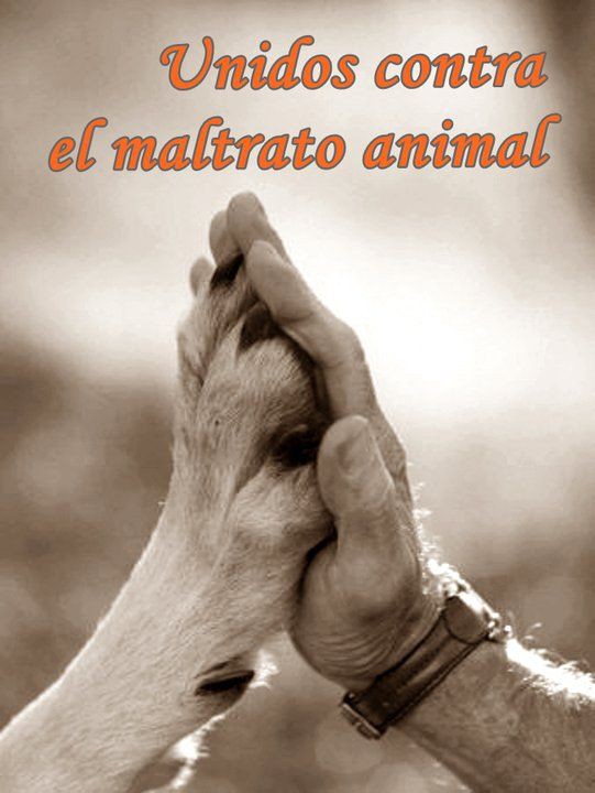tonideltoro71 tweet picture