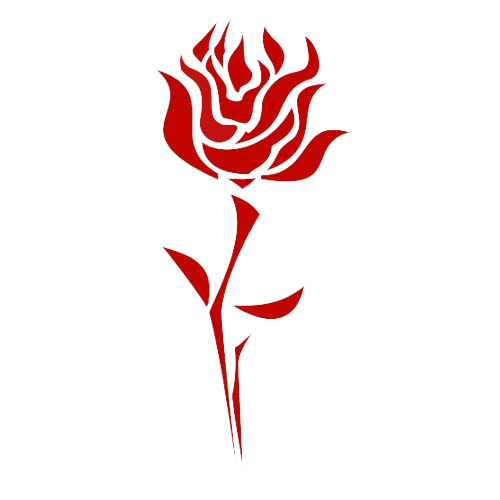 iratauri's tweet photo. ⠀

⠀. . .

⠀ https://t.co/EuYbcHhxXP