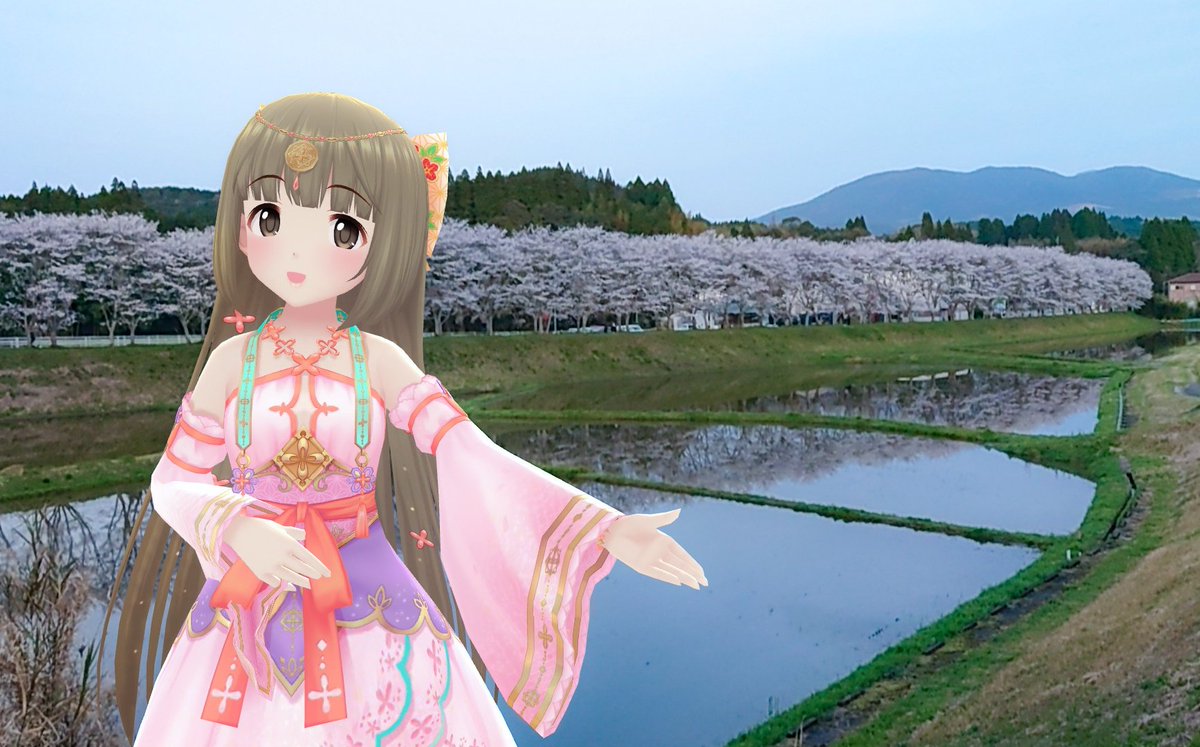 よしのんと湧水町にて
遠目にシラスの崖かなって思うほど整った桜並木でした
＃デレスポAR #依田芳乃