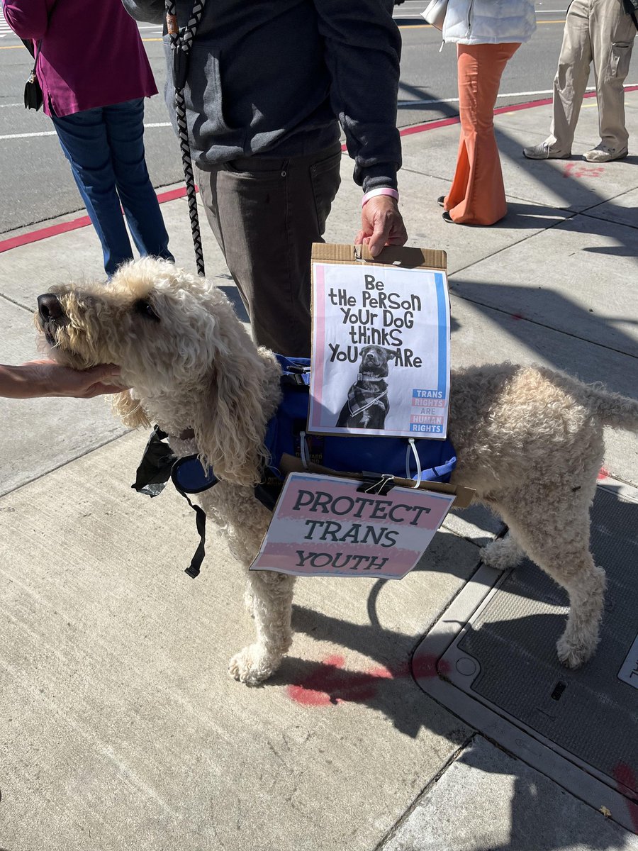 In a world full of Toms and Jens, be the person your dog thinks you are. Fight for all kids, and decline to sign any petition that harms our students. Trans kids exist. They play sports. They deserve safe schools where they can be themselves.