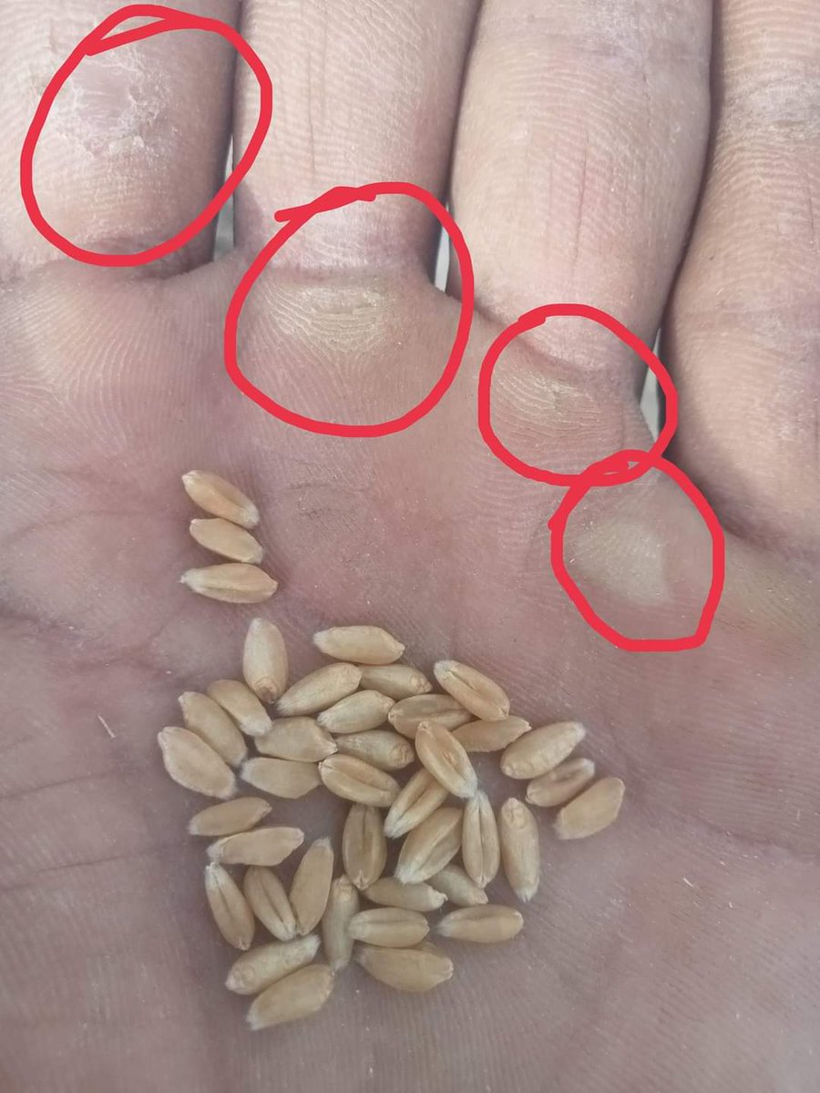 کسی بھی چیز کی قیمت بتائیں جو پچھلے سال 3900 کی ھو اور اس سال بھی 3900۔
1سال میں ہر چیز کی قیمت ڈبل ہو گئی اور گندم کی قیمت وہی کسان کے ساتھ ہمیشہ ناانصافی کی جاتی ہے.