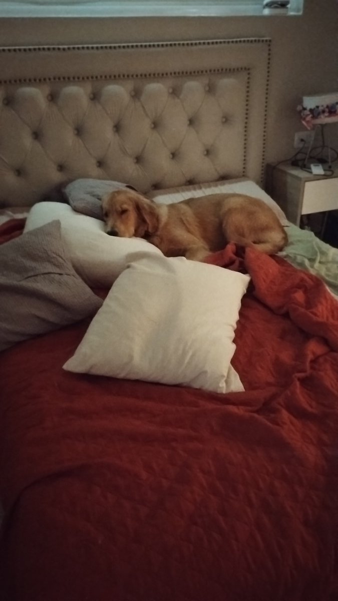 <a href="/CasluPadin/">Caslu</a> Brunita todas las mañanas