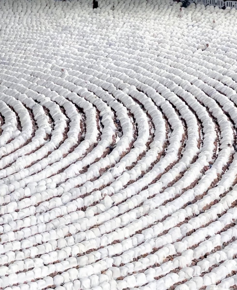 _tafool's tweet image. ﴿ وَلَهُ مَن فِي السَّماواتِ وَالأَرضِ كُلٌّ لَهُ قانِتونَ ﴾.