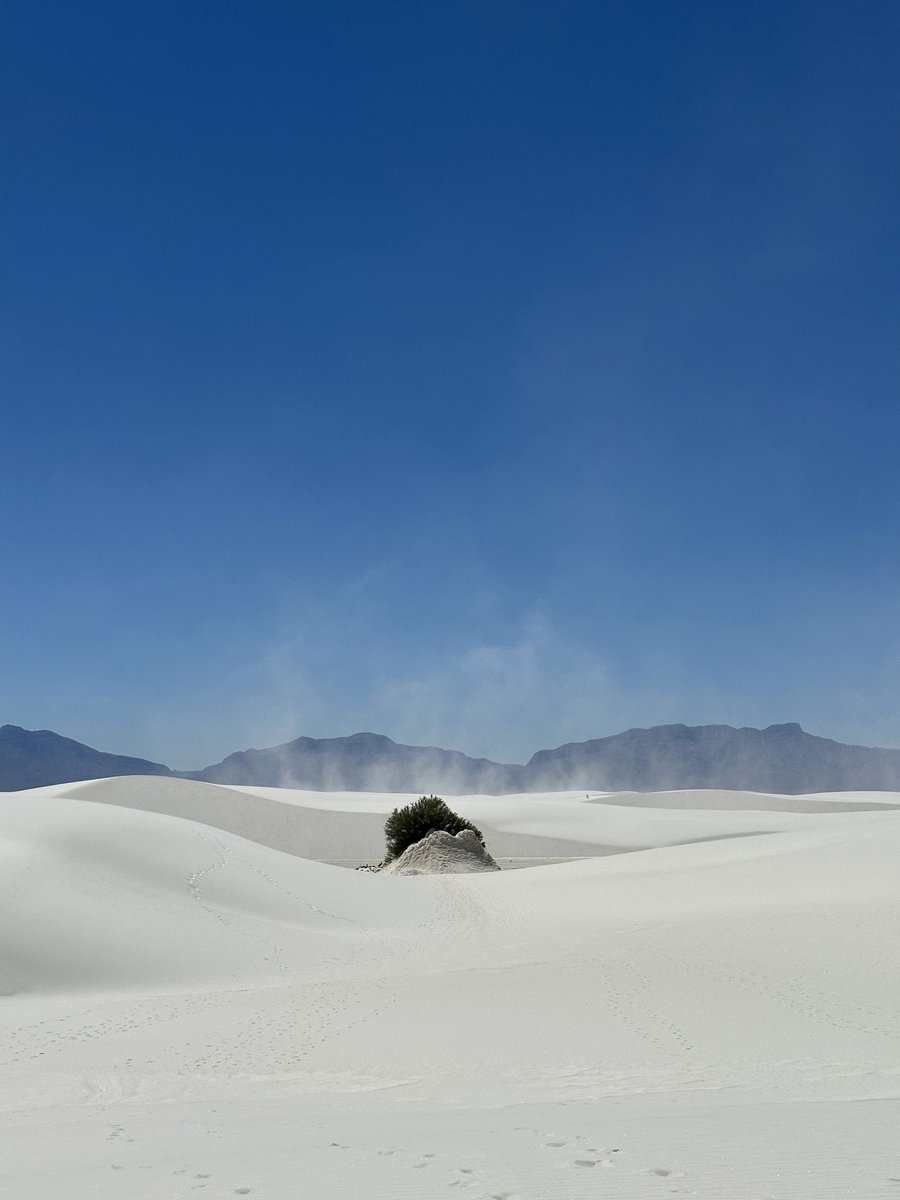 White Sands National Park never gets old. A little windy today though 😅