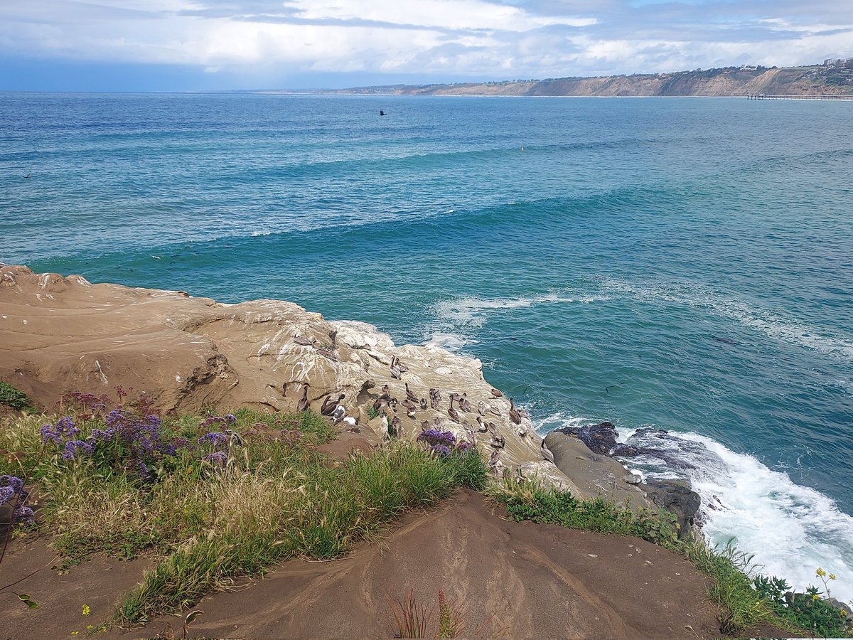 La Jolla! Pt. 1 of 2. Friday. King Tides. Uber low! #lajolla #photography #pacificocean