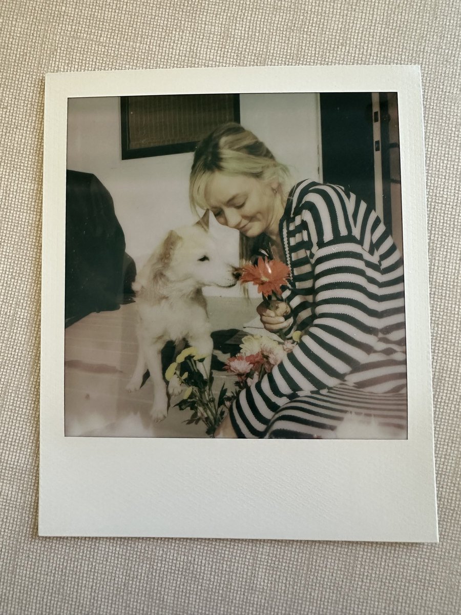 You only have until Monday to get exclusive Spring Fling merch like these Polaroids!! Happy Spring shopping! 🌸🐶🌼 veeps.com/emilykinney/c5…