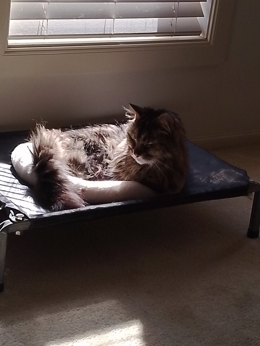 Sunny boy, after two days of heavy rain.