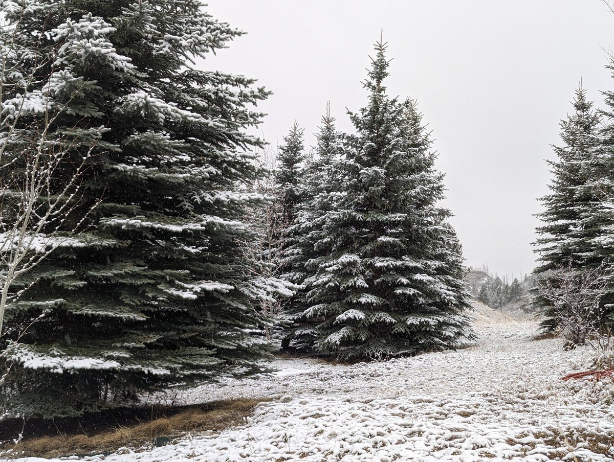 April snow showers...