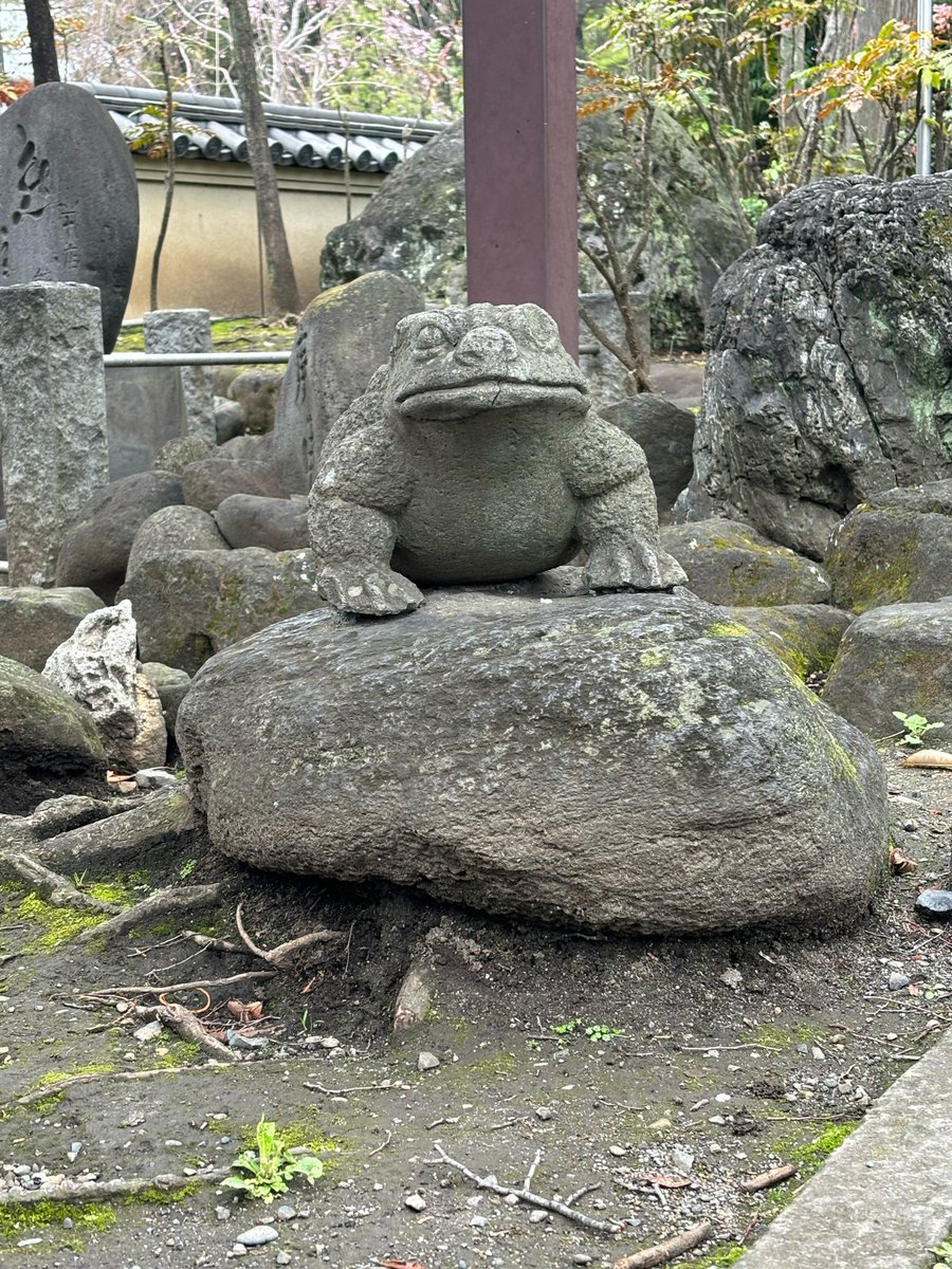 japan trip but i post only frog related items ive seen