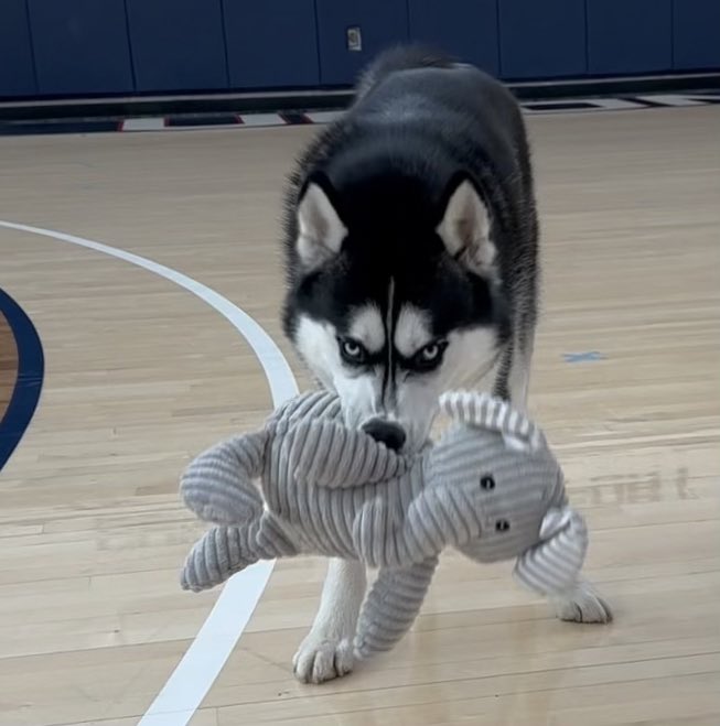 Go Huskies! Beat Bama!