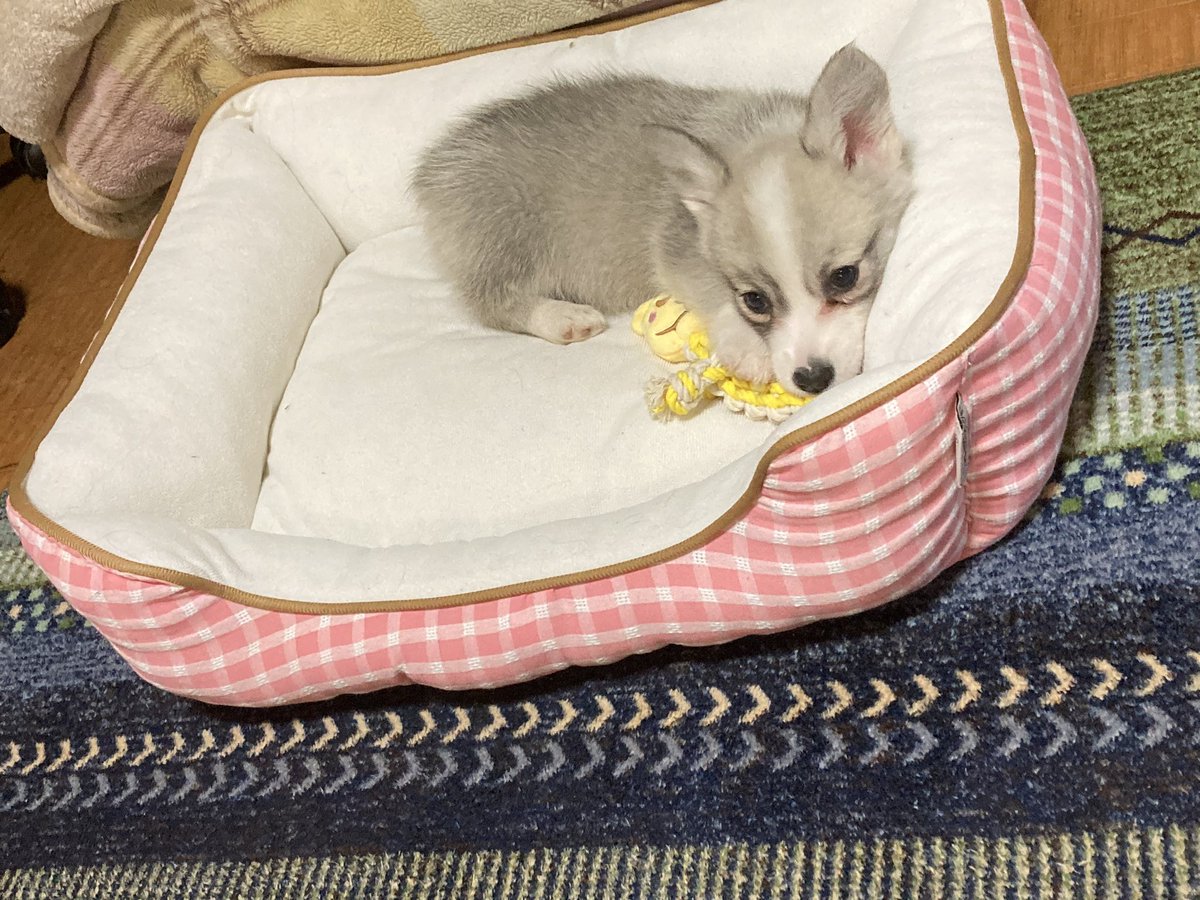 いちみ tweet media