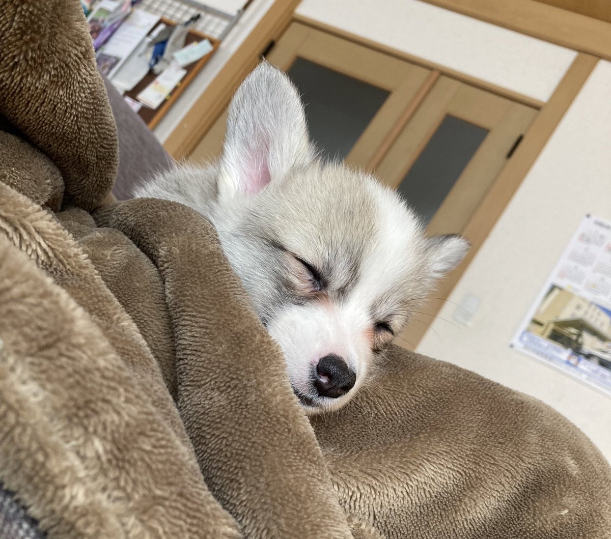 いちみ tweet media