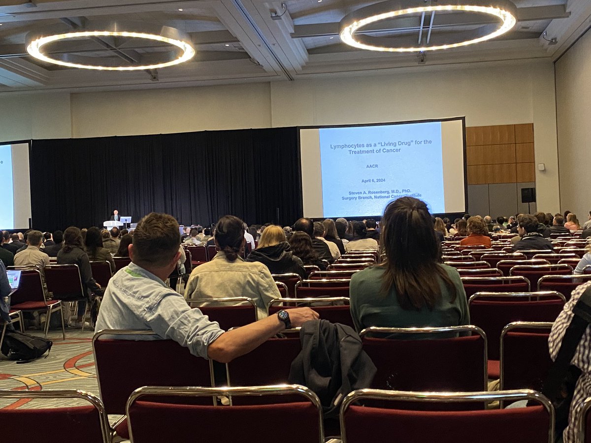 Personally I think it’s super cool to see talks given by researchers whose papers I’ve continually read over the years, today I got that with Steven Rosenberg! #AACR24