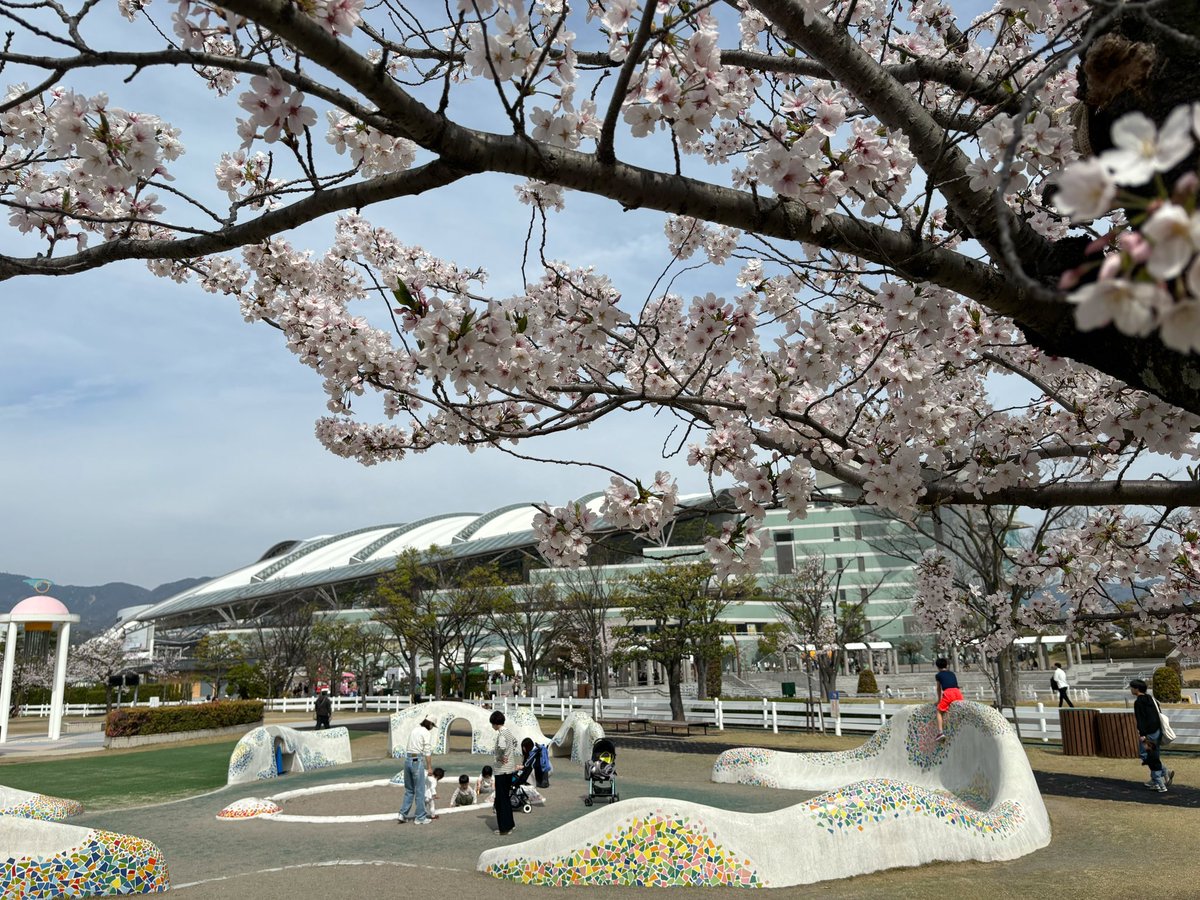 本日4月7日（日）は阪神競馬場で ＃桜花賞（GⅠ）が行われます！ 桜咲き誇る仁川での乙女達の熱い戦いに期待ですね🌸 お花見にぴったりのお天気ですので、ぜひ阪神競馬場へ遊びに来てください！！ そして現在、阪急電鉄では桜花賞オリジナルヘッドマークをつけた車両が運行中です🚃