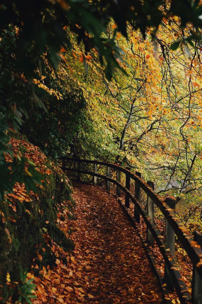 كُلّما ارتفع الإنسان باهتماماته، وتنوّعت تجاربه، وارتقى منازل الصفوة، وانشغل ذهنه بمعالي الأمور، انصرف عن صغائر الأمور وسفاسفها، ولم يعد يغضب كما كان في السابق، وصعب استفزازه من صغار القوم ورعاعهم، فلديه ماهو أهم، ولا يستطيع النظر للأسفل، وكما تنظر لنفسك يكون مستوى ردود