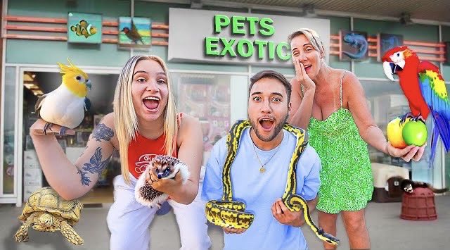 Antes x Depois - Loja de Animais Exoticos 🐡 
Curtiram?