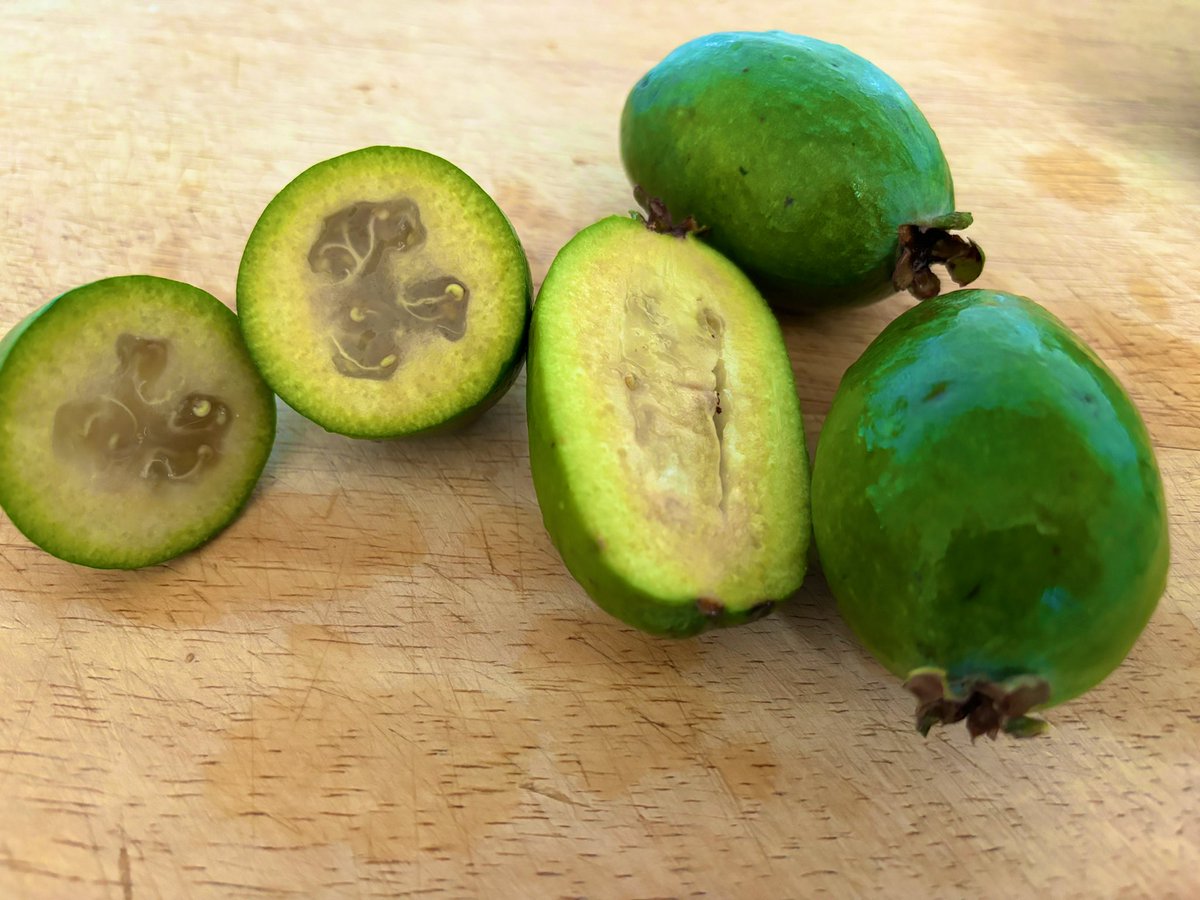 Ivy Shih (@ivyhish) on Twitter photo Mission ‘find a feijoa’ is a success! They’re delicious. 🤩 Mission ‘find a feijoa’ is a success! They’re delicious. 🤩