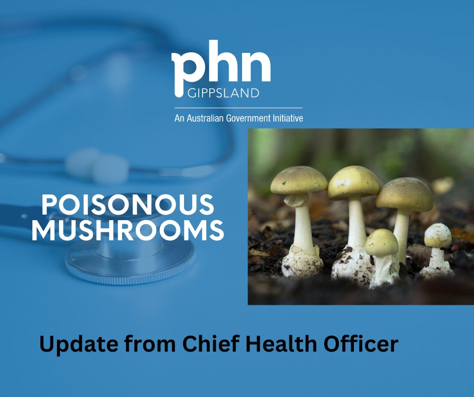 Poisonous mushrooms including death cap mushrooms and yellow-staining mushrooms occur in Victoria during autumn as the weather becomes wetter and cooler.
Read the health advisory here shorturl.at/BEIN3
#Gippsland #healthadvisory #mushrooms