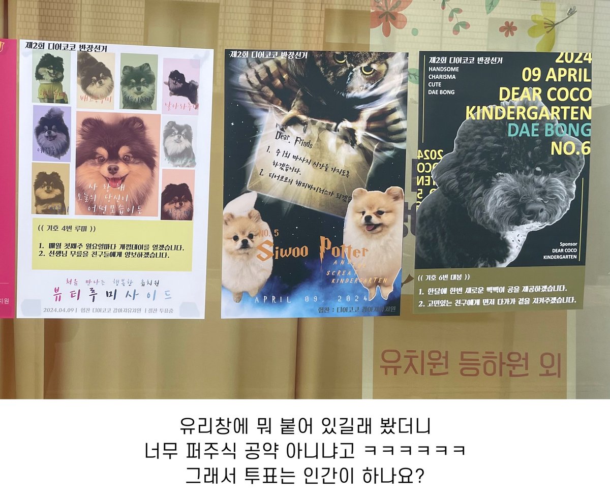 malrang_s_'s tweet photo. 아 우리 동네 강아지 유치원 투표 미쳤나봐 https://t.co/wLHJz9kchU