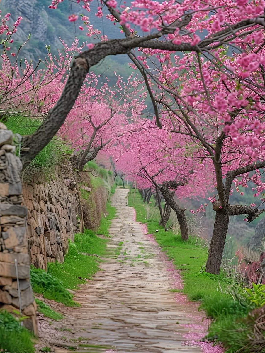 #nature
#NaturePhotography