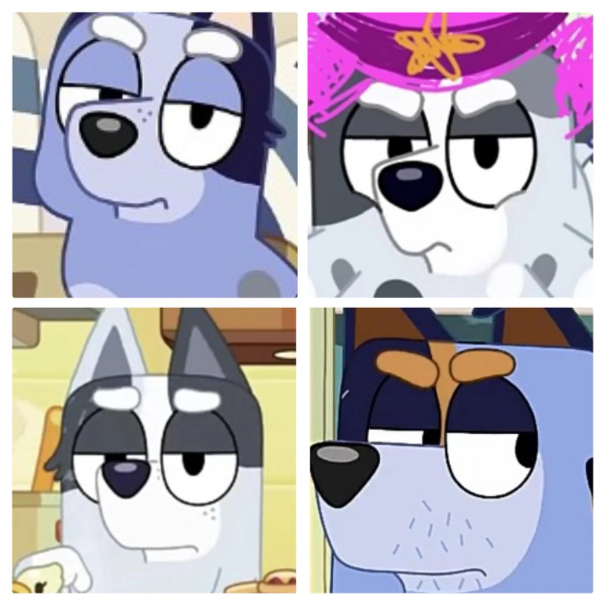 Chilli may have the angry mom face, but Stripe's family has this✨
#Bluey