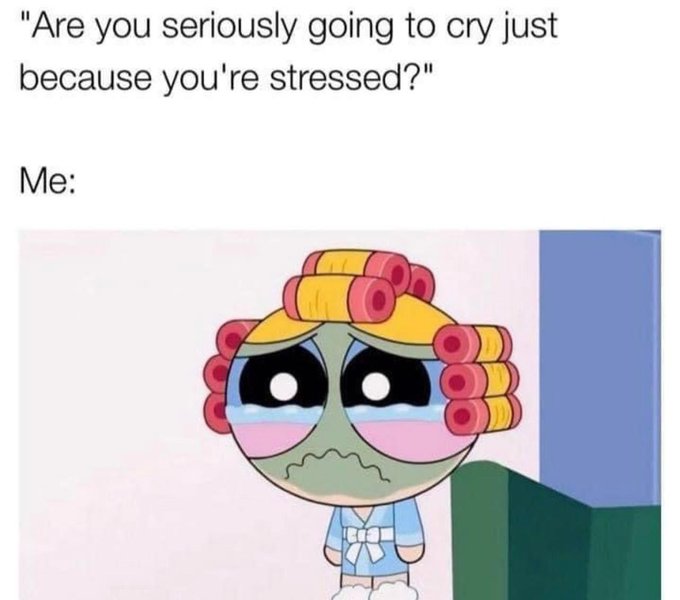 Me rn 😭 https://t.co/brSj6Dj9iT<a href="/tag/macymeadows"class="tags"><span>#macymeadows</span></a><a href="/tag/macymeadowsbirthday"class="tags"><span>#macymeadowsbirthday</span></a>