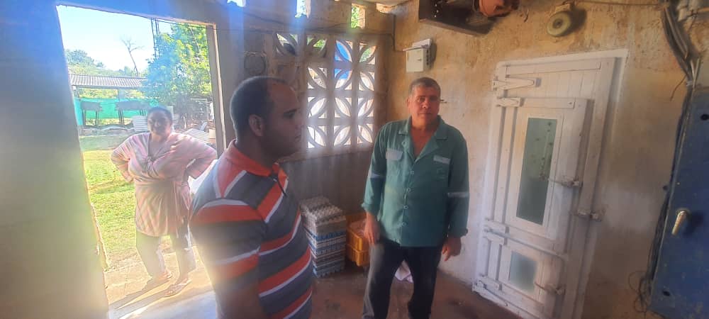 edua_acosta93's tweet photo. Interesante Proyecto de Desarrollo Local se gesta en el Consejo Popular #Lavandero, la cria de gallinas 🐔🐣 rusticas y la alimentación 🥚🍗 del pueblo son los objetivos que persigue. #Artemisa #JuntosVamosXMas 🇨🇺✌️ https://t.co/khnNL8GpEG