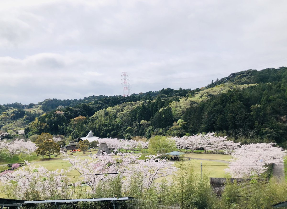 「Dr.STONE沼のフォロワーたちと相良油田(本日お祭り&油田イベント)に旅行き」|ニャーここのつのイラスト