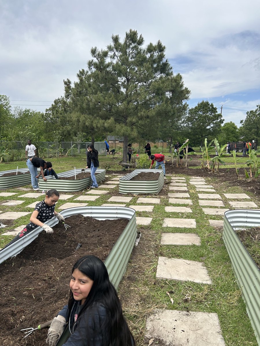 Excited to see students and the Pleasantville community unite in creating a beautiful garden. Together, we’re cultivating not just plants, but also bonds and a sense of belonging, #community garden #hollandcougars ⁦@HollandHISD⁩ ⁦@HISDCentral⁩