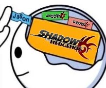 Shadow the Hedgehog tweet media