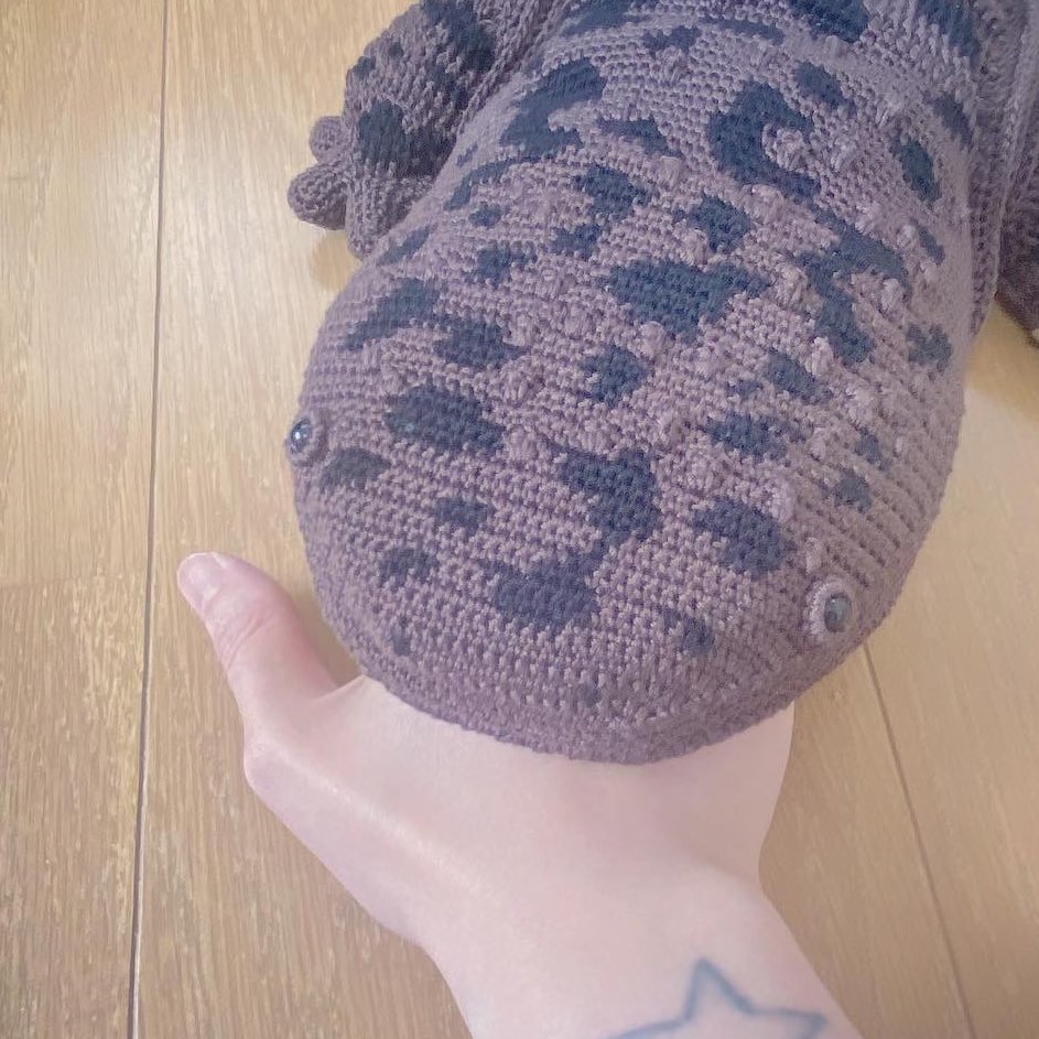 オオサンショウウオ(過去作)

#編み物 #crochet #オオサンショウウオ #Japanesegiantsalamander