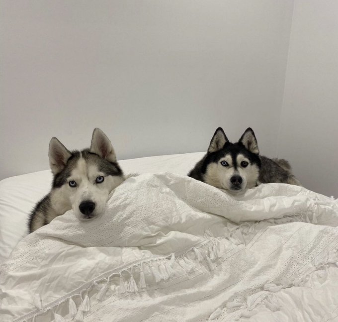 The council will now decide your fate 😐 https://t.co/Gw21pIRI52