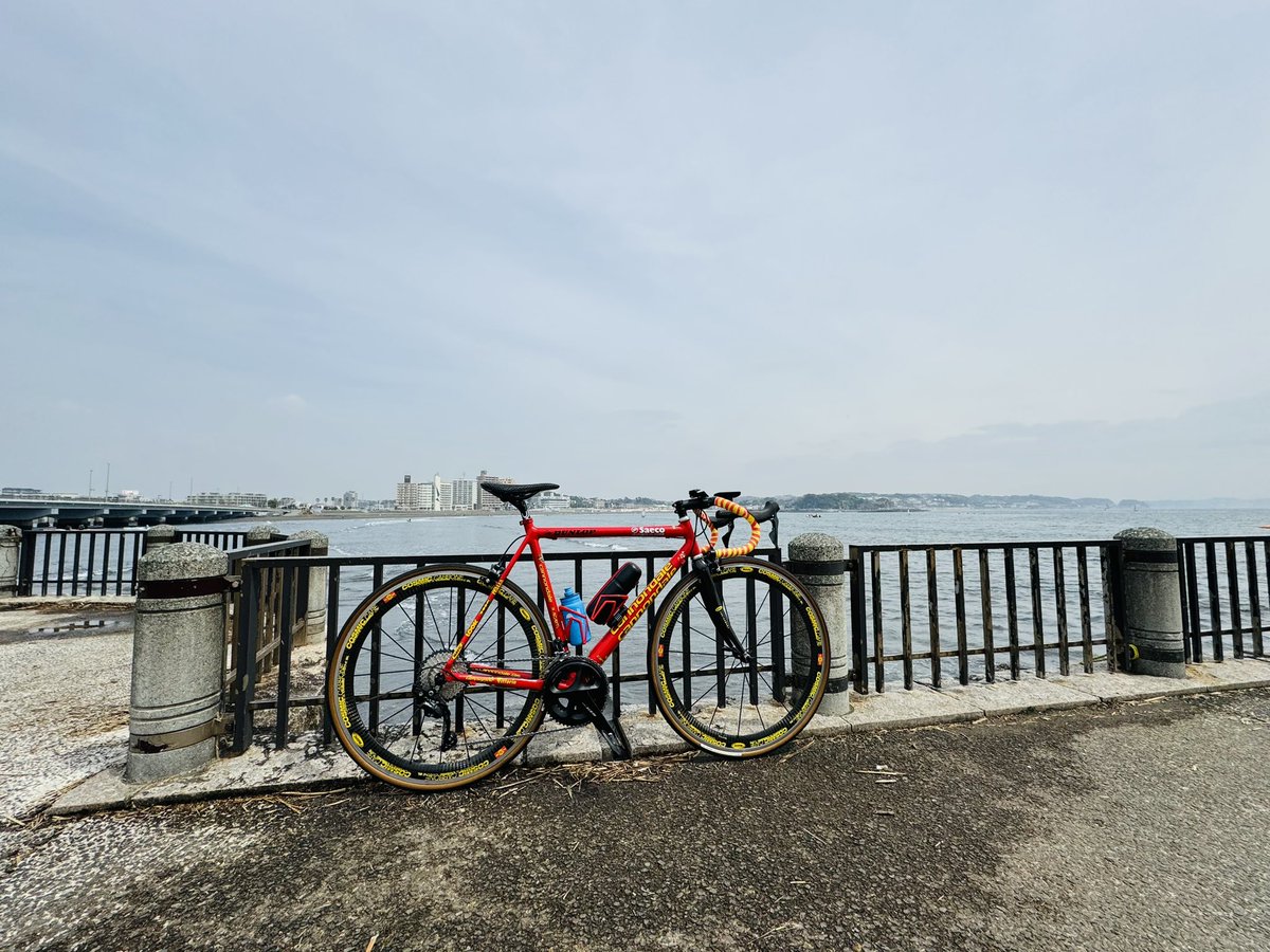 abu9495's tweet photo. Y2Kのcannondale caad4 saeco team replica!シート&チェーンステーのスポンサーロゴがreplicaの証。caad3 team replicaは中古市場でほぼ無いのでcaad4を。20年前欲しかった逸品をGet^_^アルミ固有の剛性は好き!チッポリーニが跨った最期かな。
#cannondale #vintagecannondale #caad4 #caad4saeco https://t.co/oE41TdTWa4