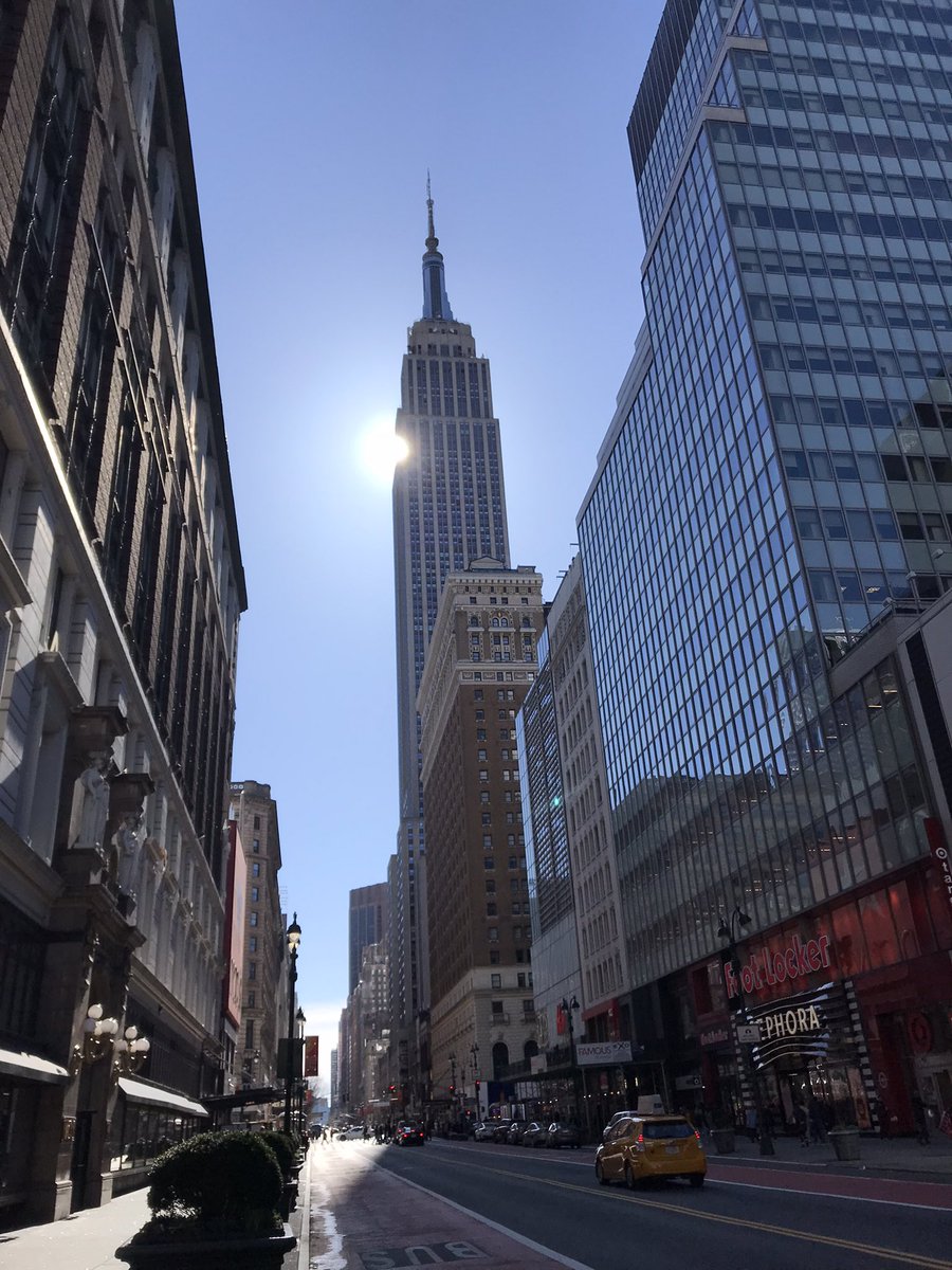 Anthony (NYCAnt) 🐜 tweet media