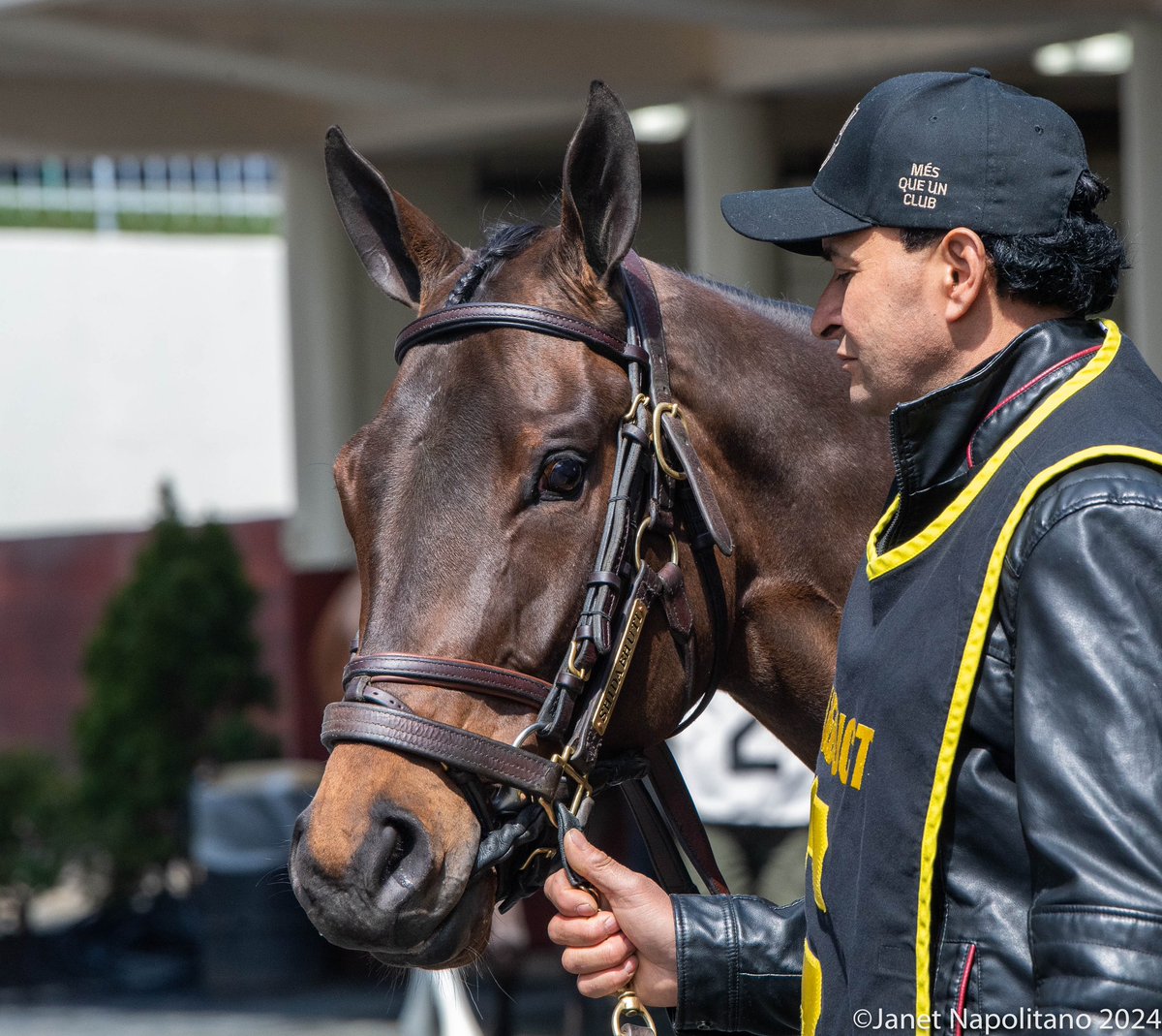 SHIDABHUTI with @DavisJockey aboard in the Gr3 Distaff for trainer Chad Brown