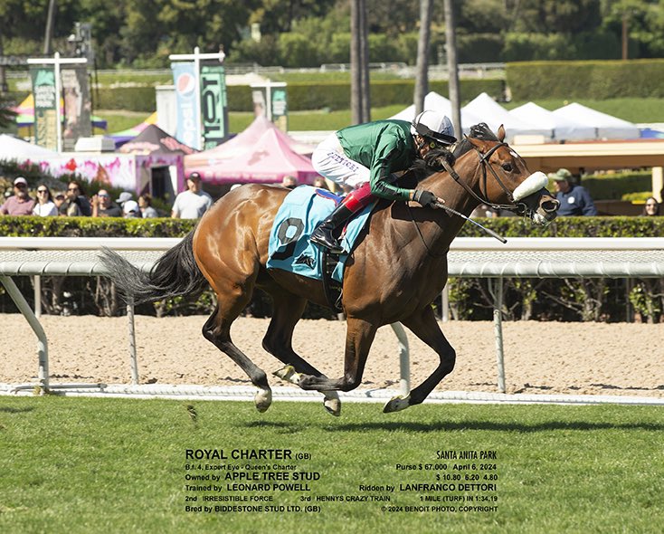 Royal Charter makes an impressive winning debut in the 🇺🇸 for Owners Apple Tree Stud, stopping the clock in 1’34 @santaanitapark, giving win #6 @FrankieDettori for the day! Thanks all involved and looking forward her development this year . Sourced @InfoArqana by @fbarberini