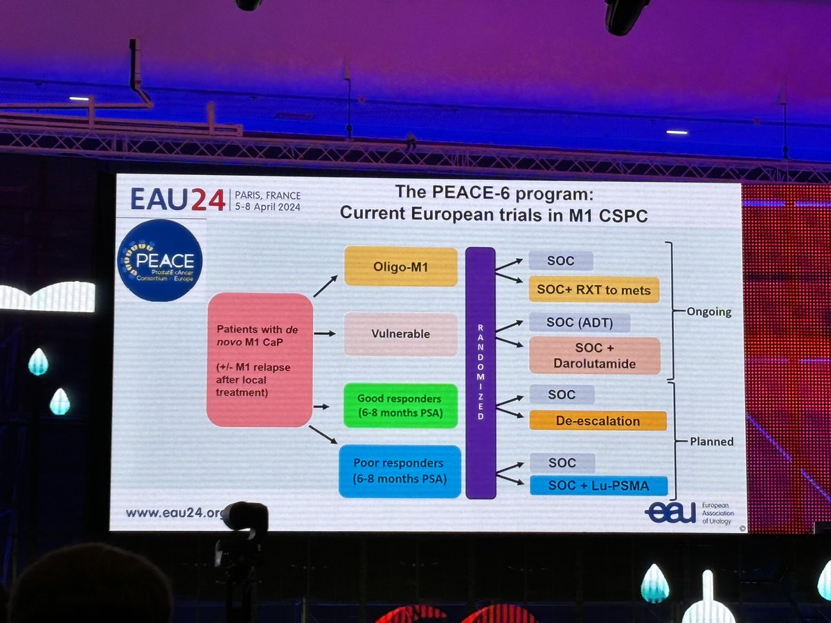 AlejandroGoDiaz's tweet photo. Great plenary session about personalising treatment for high-risk and metastasic prostate cancer at #EAU24 day 3
@Uroweb https://t.co/TbiIv6Wl2p