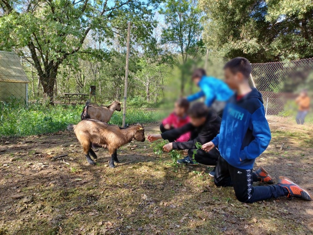 ceacuacos's tweet photo. Esta semana hemos comenzado con el Programa De Convivencia y Ocio, organizado por la Consejería de Educación, Ciencia y Formación Profesional de la Junta de Extremadura. Una semana llena de actividades, en la que no sólo han aprendido, también disfrutado en plena naturaleza. https://t.co/LmUh1XkzqW