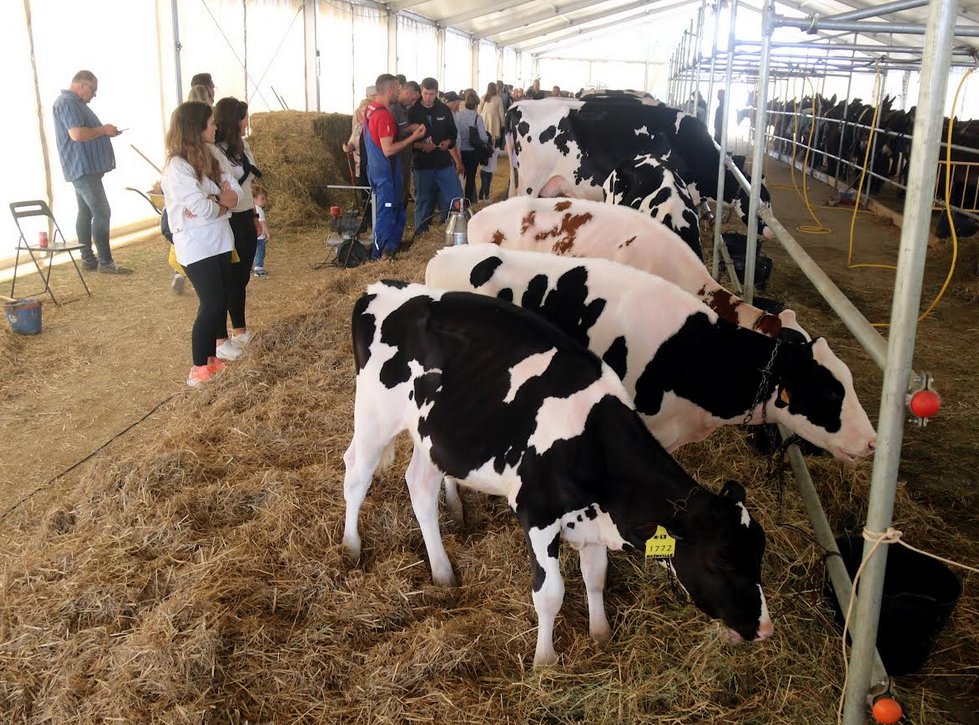 Avui anem cap a la Fira Comarcal de Primavera de #Campllong   <a href="/FiraCampllong/">Fira Campllong</a>