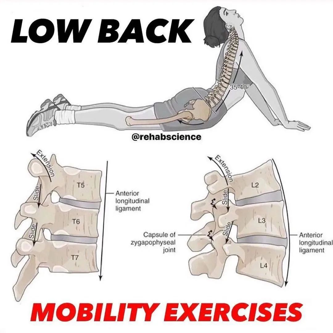 Low Back Mobility Exercises...