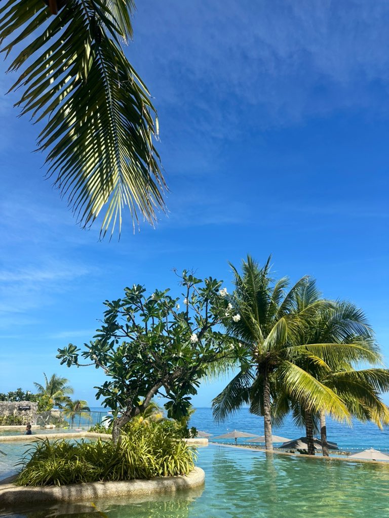 TimeraWilliams's tweet image. 📍🇵🇭