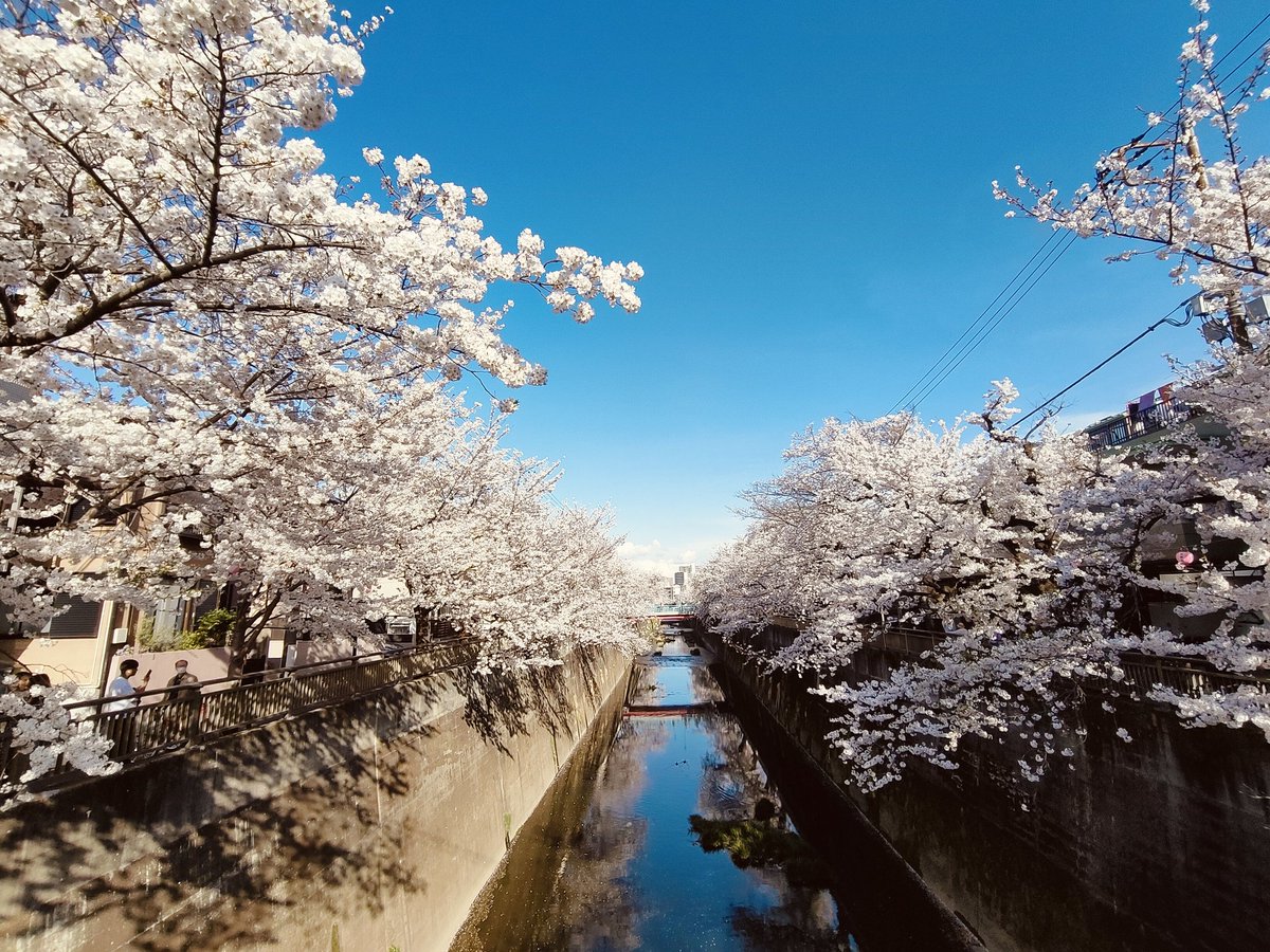 solo outdoors sky day blue sky tree no humans  illustration images